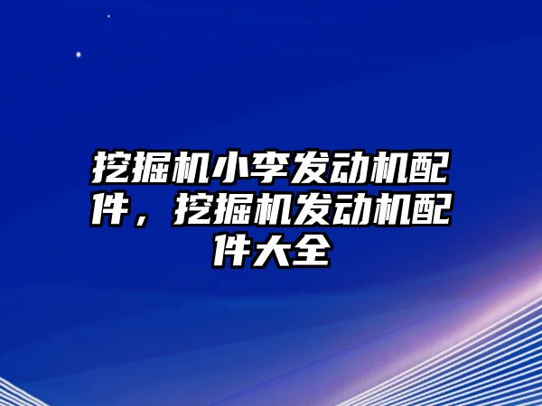 挖掘機小李發(fā)動機配件，挖掘機發(fā)動機配件大全