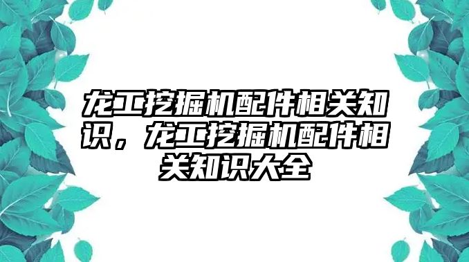 龍工挖掘機配件相關知識，龍工挖掘機配件相關知識大全