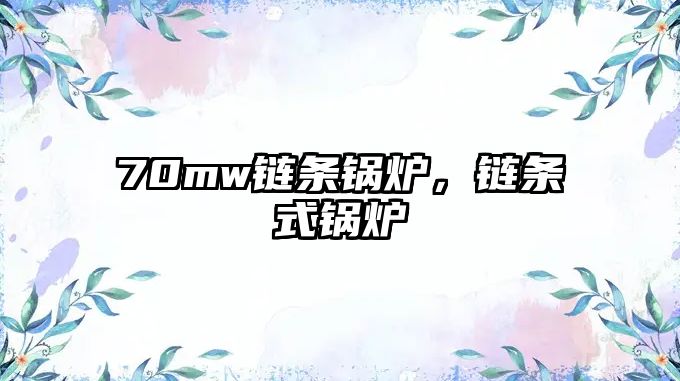 70mw鏈條鍋爐，鏈條式鍋爐