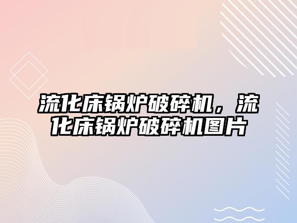 流化床鍋爐破碎機，流化床鍋爐破碎機圖片