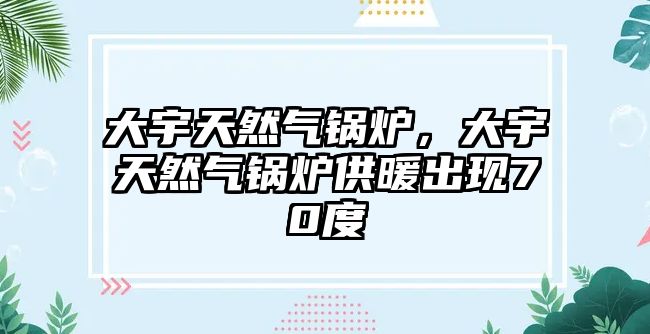 大宇天然氣鍋爐，大宇天然氣鍋爐供暖出現(xiàn)70度