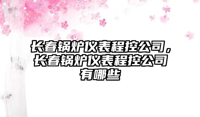 長(zhǎng)春鍋爐儀表程控公司，長(zhǎng)春鍋爐儀表程控公司有哪些