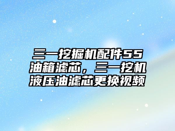 三一挖掘機配件55油箱濾芯，三一挖機液壓油濾芯更換視頻