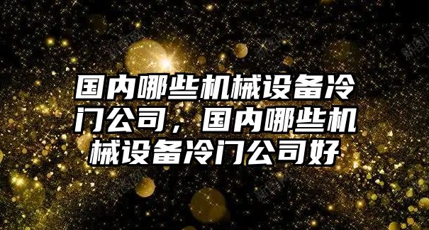 國內(nèi)哪些機(jī)械設(shè)備冷門公司，國內(nèi)哪些機(jī)械設(shè)備冷門公司好