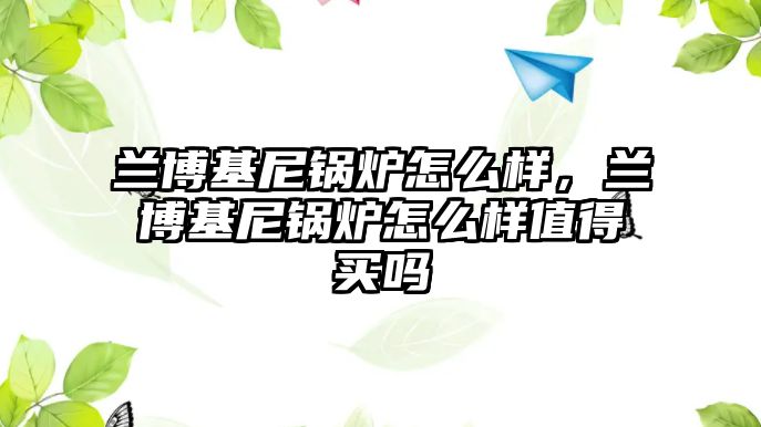 蘭博基尼鍋爐怎么樣，蘭博基尼鍋爐怎么樣值得買嗎