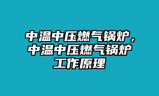 中溫中壓燃?xì)忮仩t，中溫中壓燃?xì)忮仩t工作原理