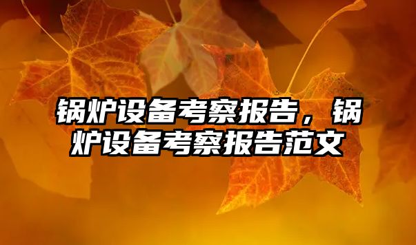 鍋爐設(shè)備考察報(bào)告，鍋爐設(shè)備考察報(bào)告范文