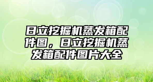 日立挖掘機蒸發(fā)箱配件圖，日立挖掘機蒸發(fā)箱配件圖片大全