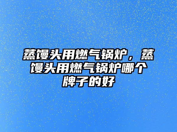 蒸饅頭用燃?xì)忮仩t，蒸饅頭用燃?xì)忮仩t哪個(gè)牌子的好