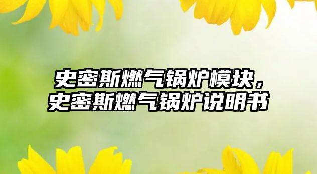 史密斯燃氣鍋爐模塊，史密斯燃氣鍋爐說明書