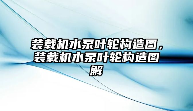 裝載機(jī)水泵葉輪構(gòu)造圖，裝載機(jī)水泵葉輪構(gòu)造圖解