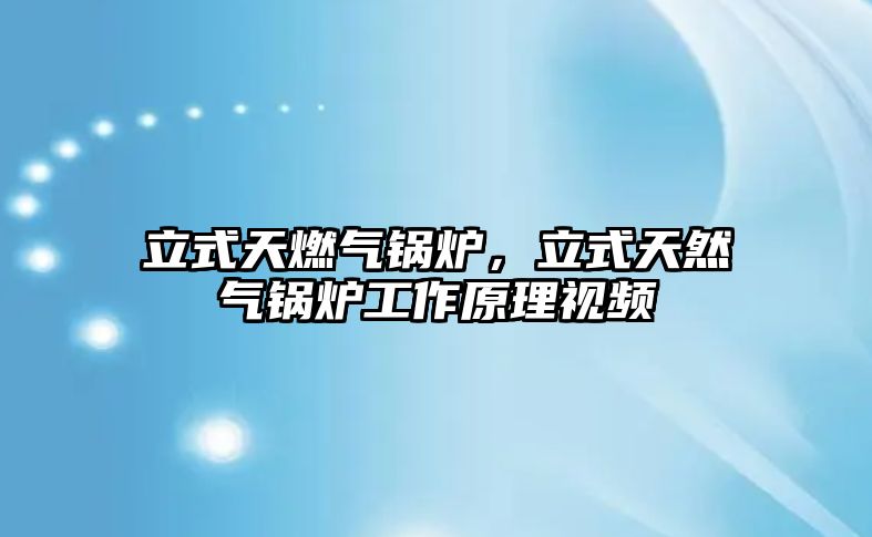 立式天燃?xì)忮仩t，立式天然氣鍋爐工作原理視頻