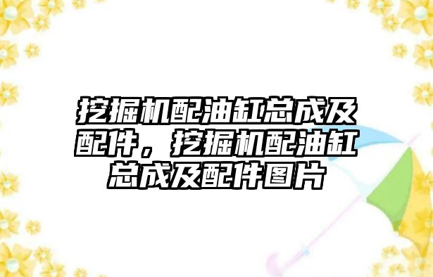 挖掘機配油缸總成及配件，挖掘機配油缸總成及配件圖片