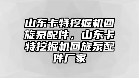 山東卡特挖掘機回旋泵配件，山東卡特挖掘機回旋泵配件廠家