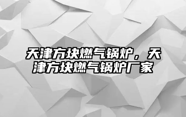 天津方塊燃?xì)忮仩t，天津方塊燃?xì)忮仩t廠家