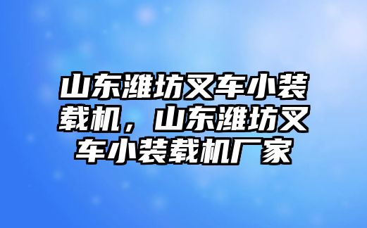 山東濰坊叉車小裝載機(jī)，山東濰坊叉車小裝載機(jī)廠家