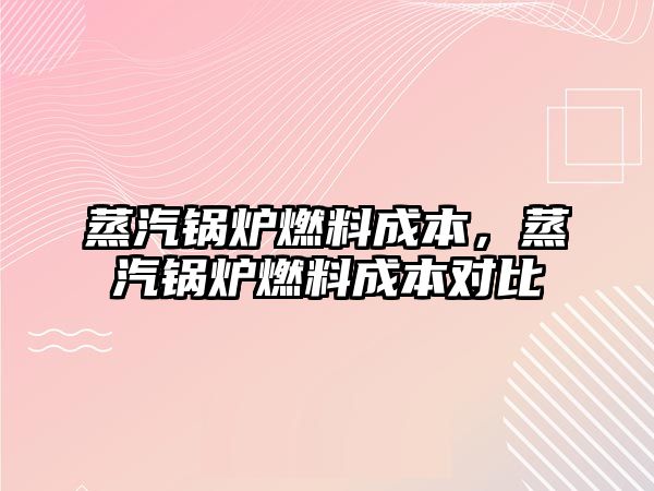 蒸汽鍋爐燃料成本，蒸汽鍋爐燃料成本對比