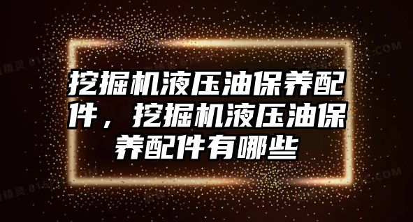 挖掘機液壓油保養(yǎng)配件，挖掘機液壓油保養(yǎng)配件有哪些