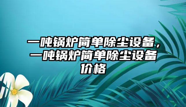 一噸鍋爐簡單除塵設(shè)備，一噸鍋爐簡單除塵設(shè)備價格