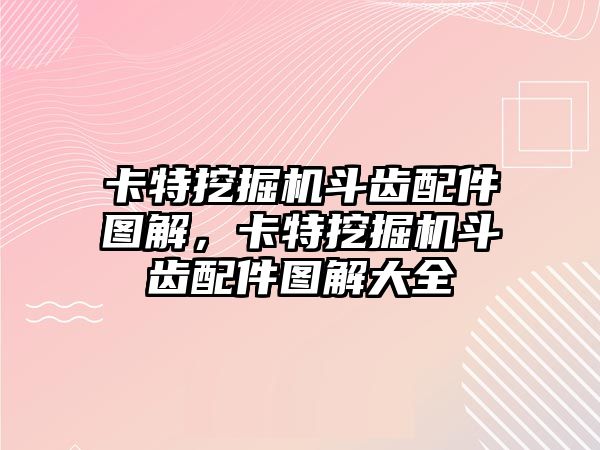 卡特挖掘機斗齒配件圖解，卡特挖掘機斗齒配件圖解大全