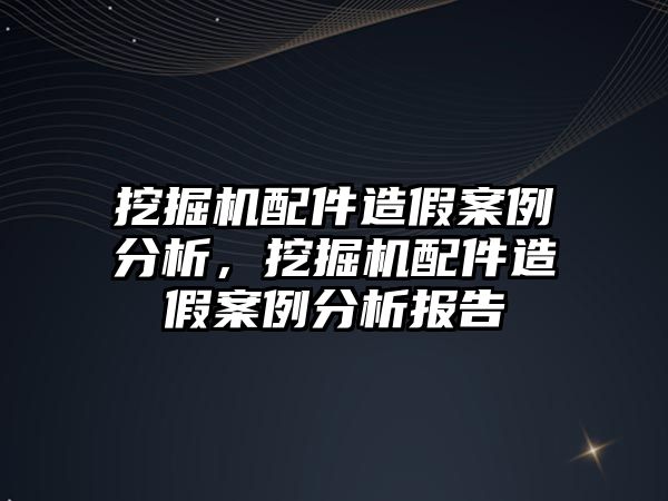 挖掘機配件造假案例分析，挖掘機配件造假案例分析報告