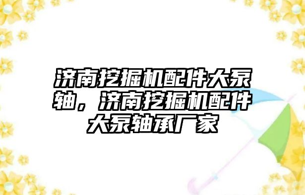 濟南挖掘機配件大泵軸，濟南挖掘機配件大泵軸承廠家