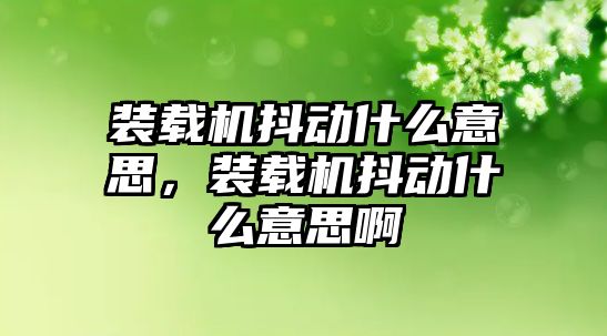 裝載機抖動什么意思，裝載機抖動什么意思啊