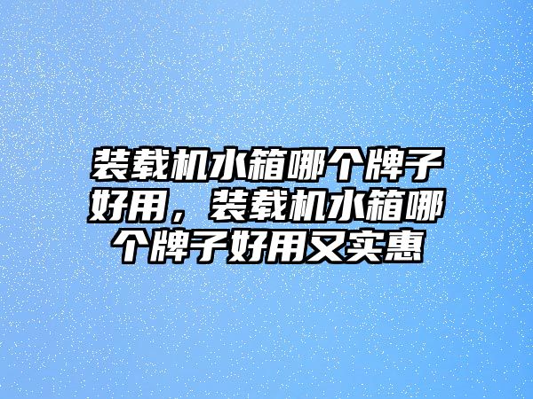 裝載機(jī)水箱哪個(gè)牌子好用，裝載機(jī)水箱哪個(gè)牌子好用又實(shí)惠