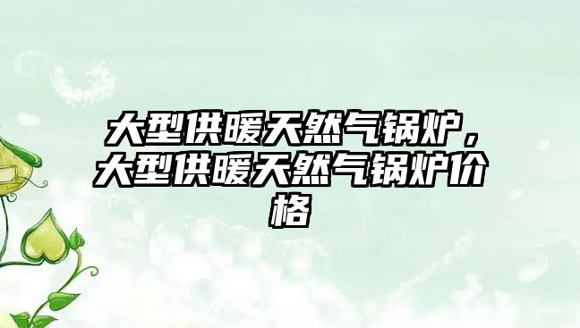 大型供暖天然氣鍋爐，大型供暖天然氣鍋爐價格