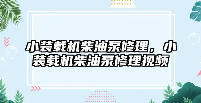 小裝載機柴油泵修理，小裝載機柴油泵修理視頻