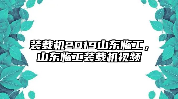 裝載機(jī)2019山東臨工，山東臨工裝載機(jī)視頻