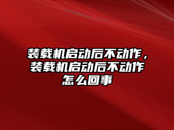 裝載機啟動后不動作，裝載機啟動后不動作怎么回事