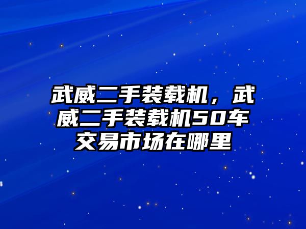 武威二手裝載機(jī)，武威二手裝載機(jī)50車交易市場在哪里