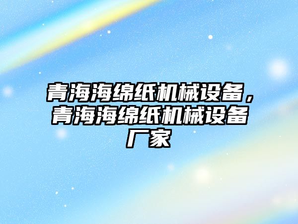 青海海綿紙機(jī)械設(shè)備，青海海綿紙機(jī)械設(shè)備廠家