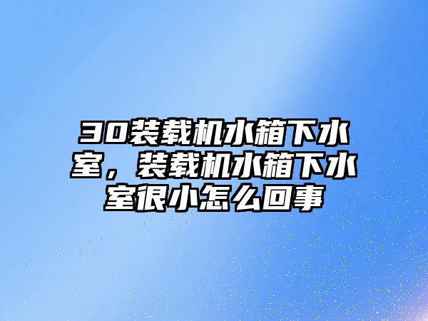 30裝載機水箱下水室，裝載機水箱下水室很小怎么回事