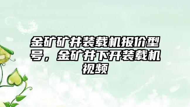 金礦礦井裝載機報價型號，金礦井下開裝載機視頻