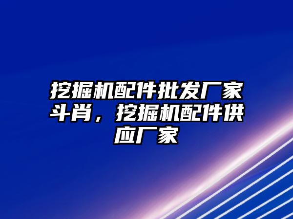 挖掘機配件批發(fā)廠家斗肖，挖掘機配件供應(yīng)廠家