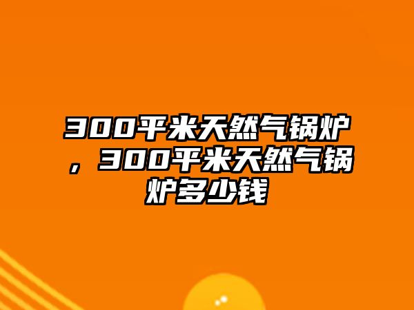 300平米天然氣鍋爐，300平米天然氣鍋爐多少錢