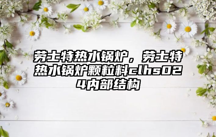 勞士特熱水鍋爐，勞士特熱水鍋爐顆粒料clhs024內(nèi)部結(jié)構(gòu)