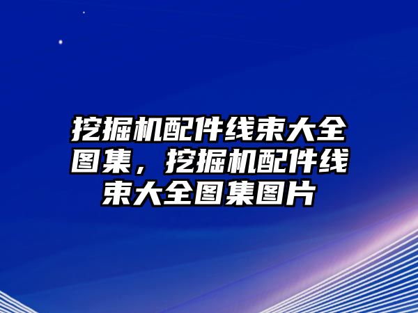 挖掘機(jī)配件線束大全圖集，挖掘機(jī)配件線束大全圖集圖片