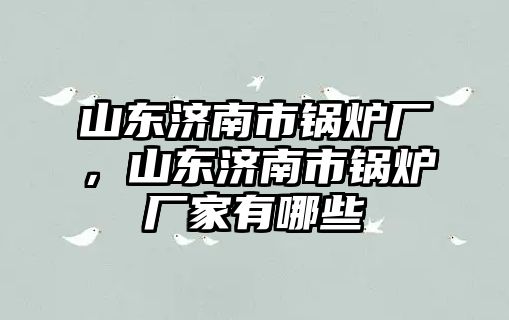 山東濟(jì)南市鍋爐廠，山東濟(jì)南市鍋爐廠家有哪些