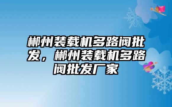 郴州裝載機(jī)多路閥批發(fā)，郴州裝載機(jī)多路閥批發(fā)廠家