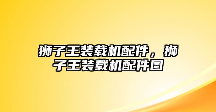 獅子王裝載機(jī)配件，獅子王裝載機(jī)配件圖