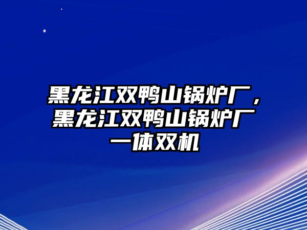 黑龍江雙鴨山鍋爐廠，黑龍江雙鴨山鍋爐廠一體雙機(jī)