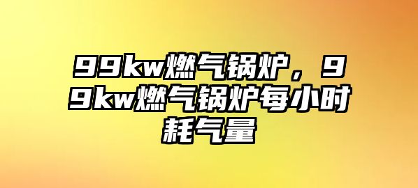 99kw燃?xì)忮仩t，99kw燃?xì)忮仩t每小時(shí)耗氣量