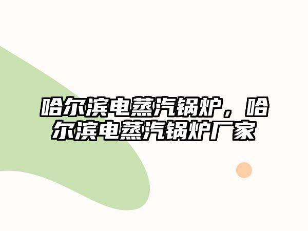 哈爾濱電蒸汽鍋爐，哈爾濱電蒸汽鍋爐廠家