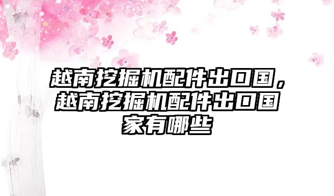 越南挖掘機(jī)配件出口國，越南挖掘機(jī)配件出口國家有哪些