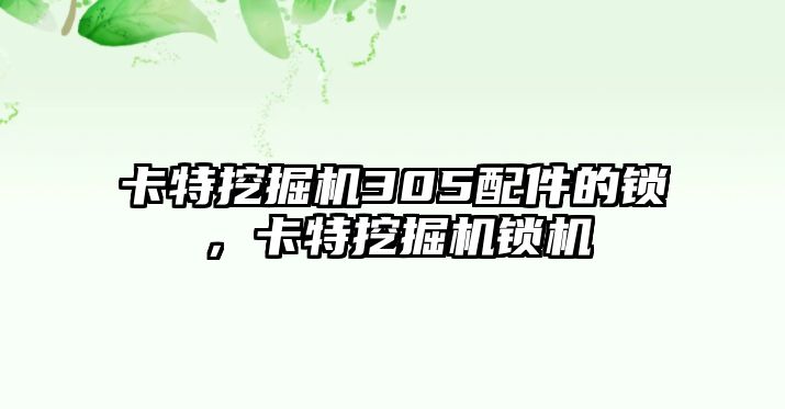 卡特挖掘機305配件的鎖，卡特挖掘機鎖機