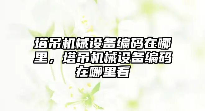 塔吊機械設備編碼在哪里，塔吊機械設備編碼在哪里看