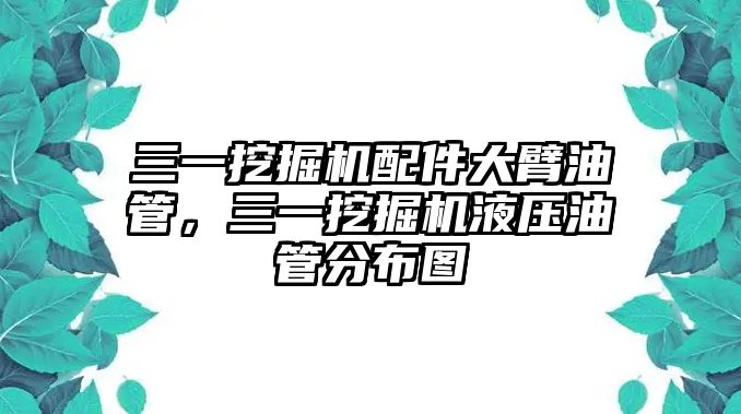 三一挖掘機(jī)配件大臂油管，三一挖掘機(jī)液壓油管分布圖